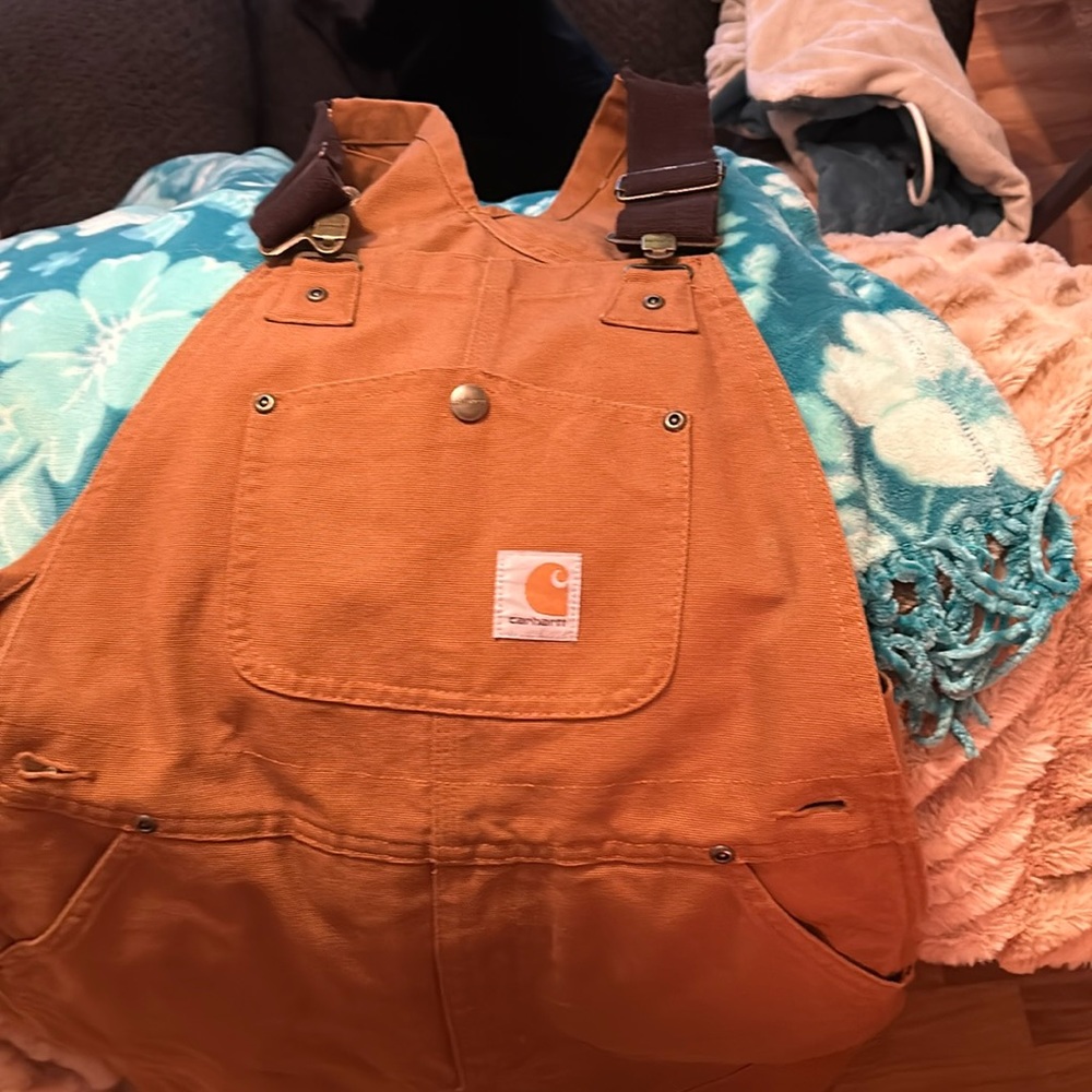 Carhart Insulated Bibs size 10 youth